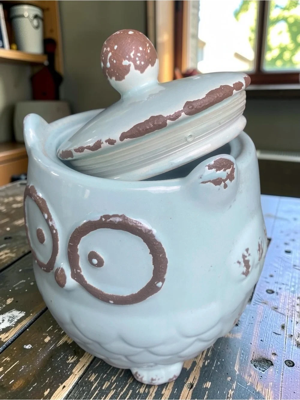 Decorative Owl Ceramic canister - light turquoise with Brown rustic patina EUC